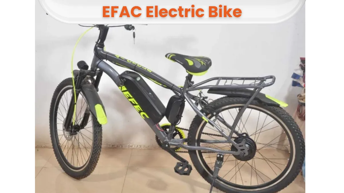 EFEC Electric CYCLE
