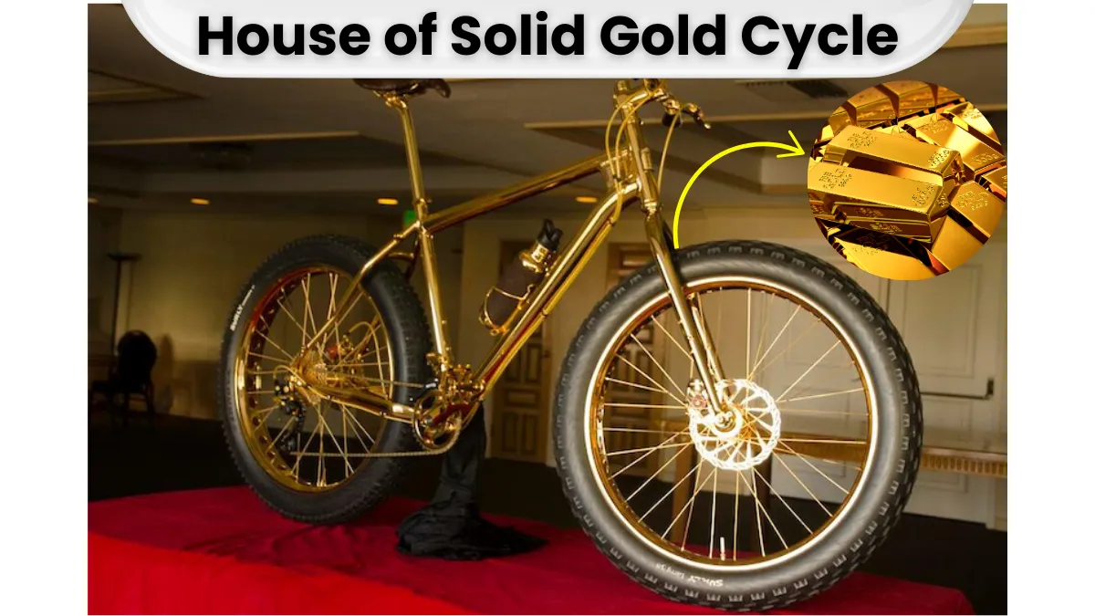 House of Solid Gold